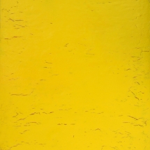 02.Healing-Yellow.Mixed Media on canvas.48x36_-2017