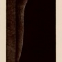 0_011g1 0_011g1